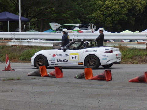 P5198145.JPG