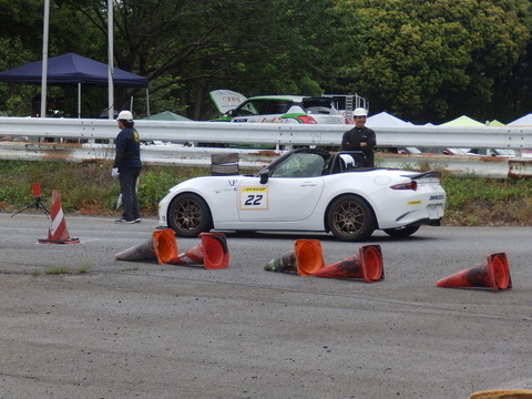 P5198161.JPG