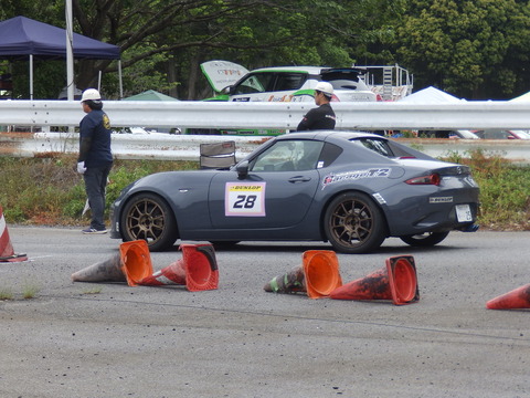 P5198170.JPG