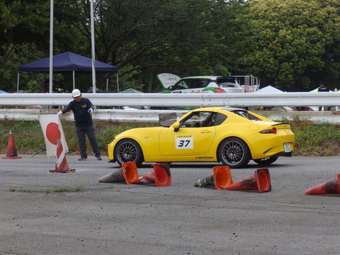 P5198189.JPG