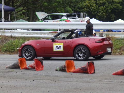 P5198227.JPG