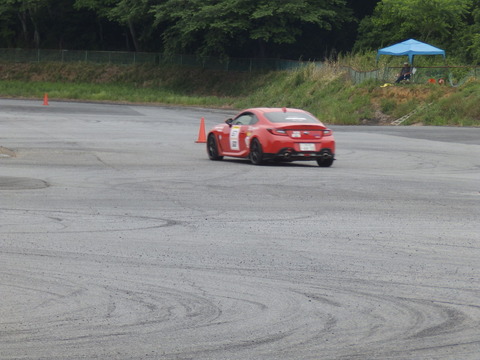 P5198228.JPG