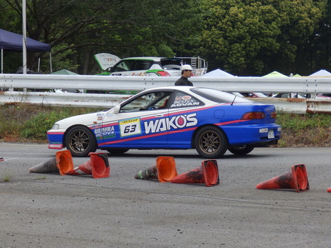 P5198238.JPG