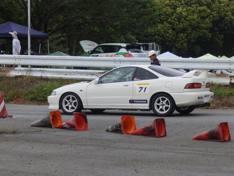 P5198254.JPG