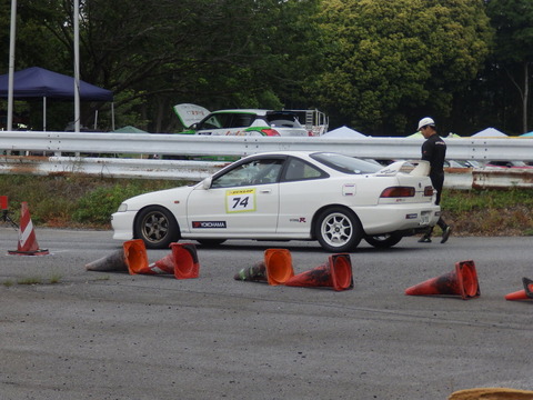 P5198261.JPG