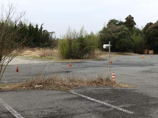 P3200006.JPG
