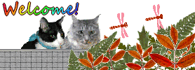 aki-neko2013.gif