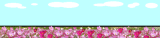 cosmos-nekobike-ani.gif